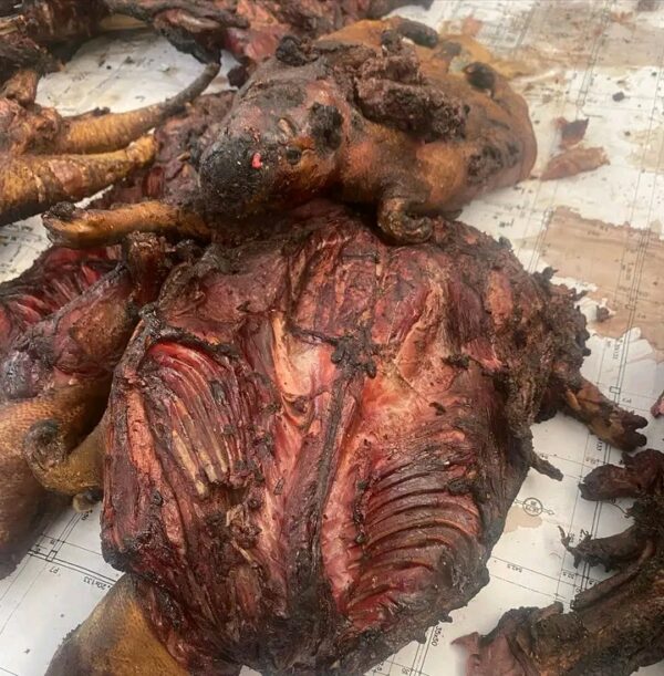 Viande d'agouti