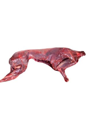 Viande de lièvre